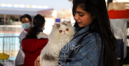 بالصور.. معرض "الحيوانات الأليفة" بغزة لكسر حاجز الخوف لدى الأطفال