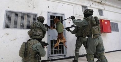 قوات القمع تقتحم قسم الأسيرات في معتقل الدامون