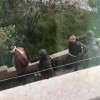 الاحتلال يعتقل شابين في بلدة جيوس شرق قلقيلية