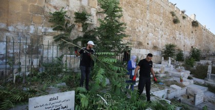 مقدسيون ينظفون مقبرة الرحمة من دنس الاحتلال في القدس